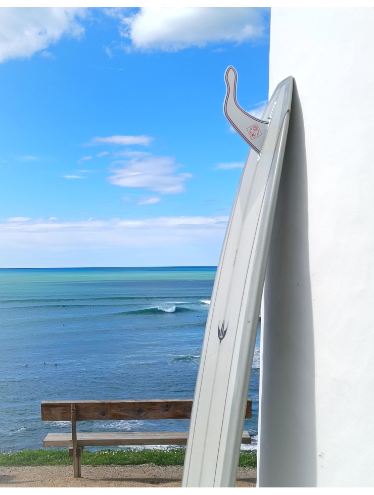 HANGTEN COLLAB S-WINGS X...
