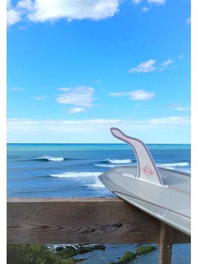 HANGTEN COLLAB S-WINGS X JONSEN  - FRENCH