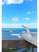 HANGTEN COLLAB S-WINGS X JONSEN  - FRENCH