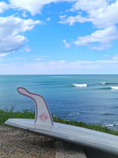 HANGTEN COLLAB S-WINGS X JONSEN - FRENCH