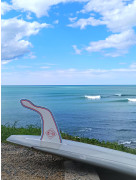 HANGTEN COLLAB S-WINGS X JONSEN  - FRENCH