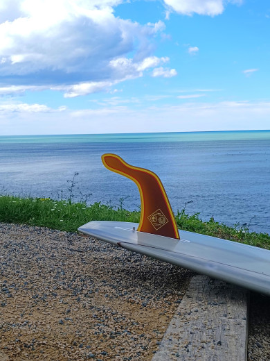 HANGTEN COLLAB  S-WINGS x JONSEN - GOLDY