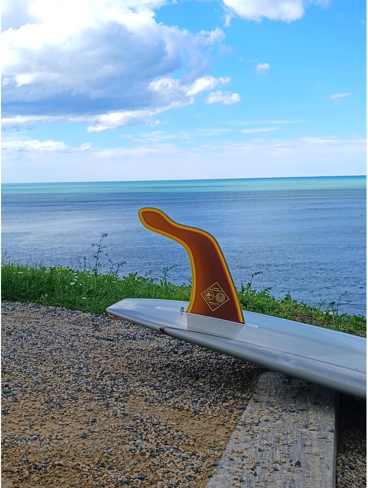 HANGTEN COLLAB S-WINGS x JONSEN - GOLDY