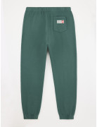 PANT  CONFORT CUT JOGGY GREEN