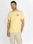 T-SHIRT CLASSIC MYSTIC YELLOW